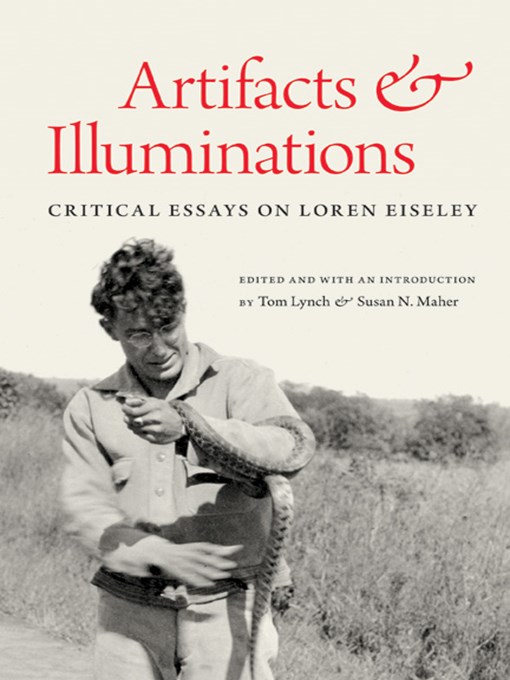 Title details for Artifacts and Illuminations by Tom Lynch - Available